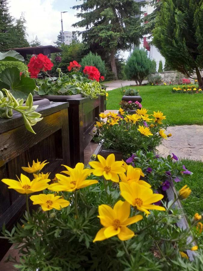 Apartmani Jokic Zlatibor Exteriör bild